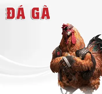 AA88 - Trang chủ chính thức đăng ký vào chơi nhà cái AA88 20 game daga