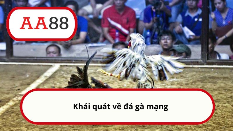 Cách đá gà mạng luôn thắng - Mẹo chơi hiệu quả cùng AA88 1 Khái quát về đá gà mạng