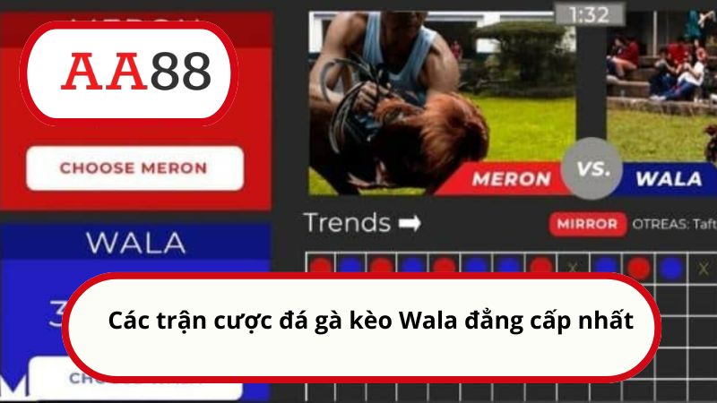 Wala là gì? Cách cược kèo chuẩn xác từ A đến Z cho newbie 4 Các trận cược đá gà kèo Wala đẳng cấp nhất